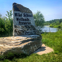 Mike Schout Wetlands - July 2023