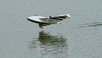 RC Float Flying
