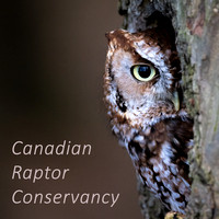 Canadian Raptor Conservancy May 2024